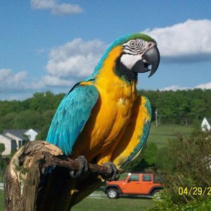 Meet your Posher, Donna